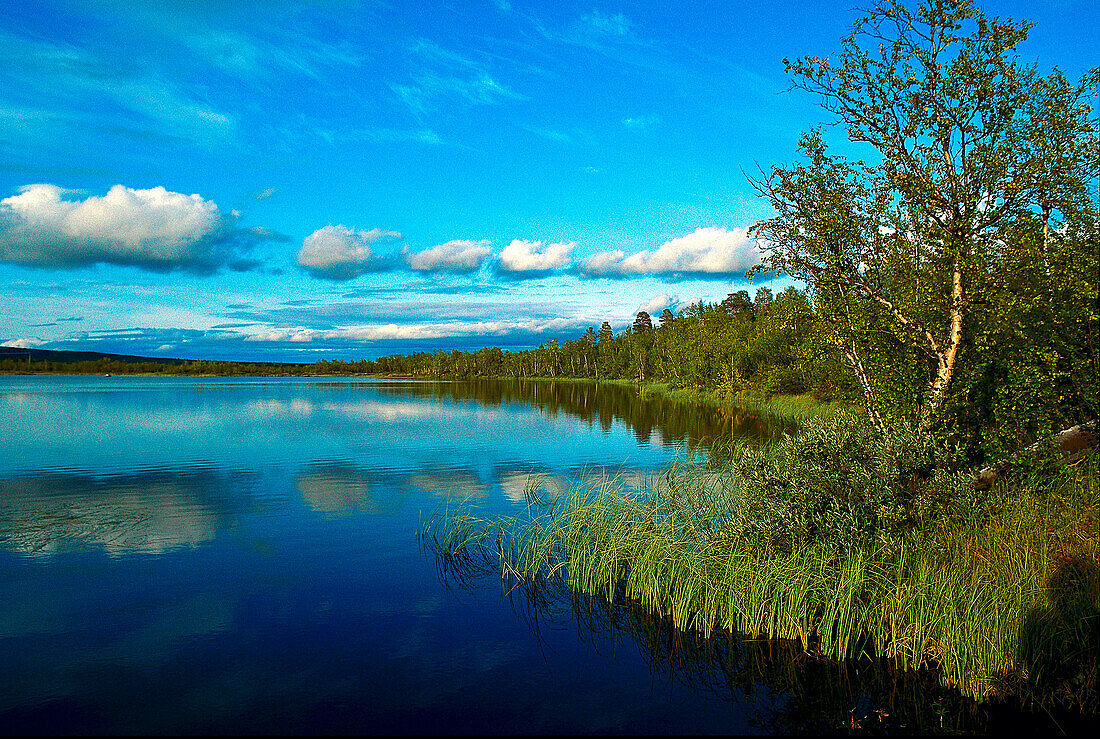 An idyllic lake reflecting clouds, Lapland, Sweden, Europe