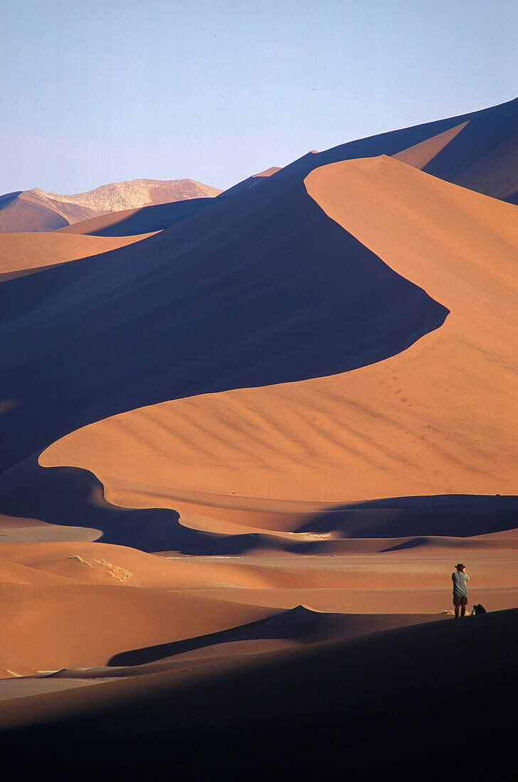 Sanddünen, Sterndünen, Sossusvlei bei Sesriem, Namib Wüste Namib Naukluft Park, Namibia