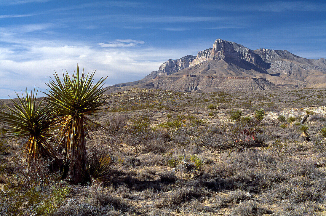 Guadelupe Mountains Nationalpark, Spitze El Capitan, Texas, USA, Amerika