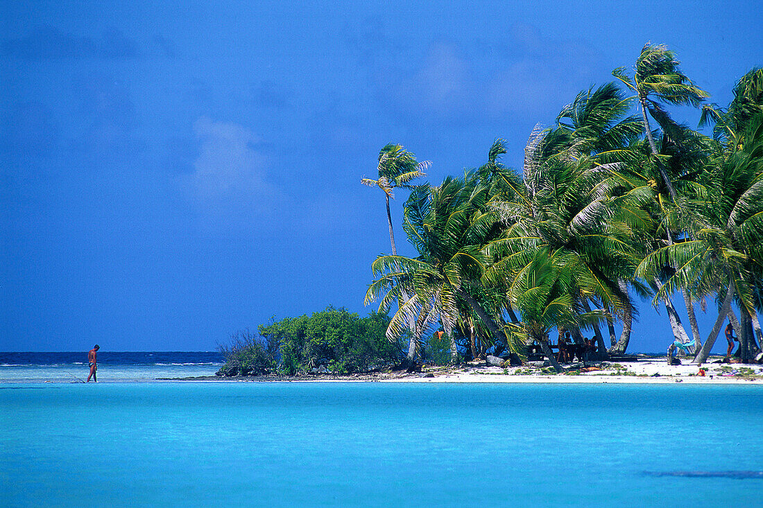 Insel Motu, an Blauer Lagune, Rand des Atolls Rangiroa, Tuamotu Inseln Französisch-Polynesien