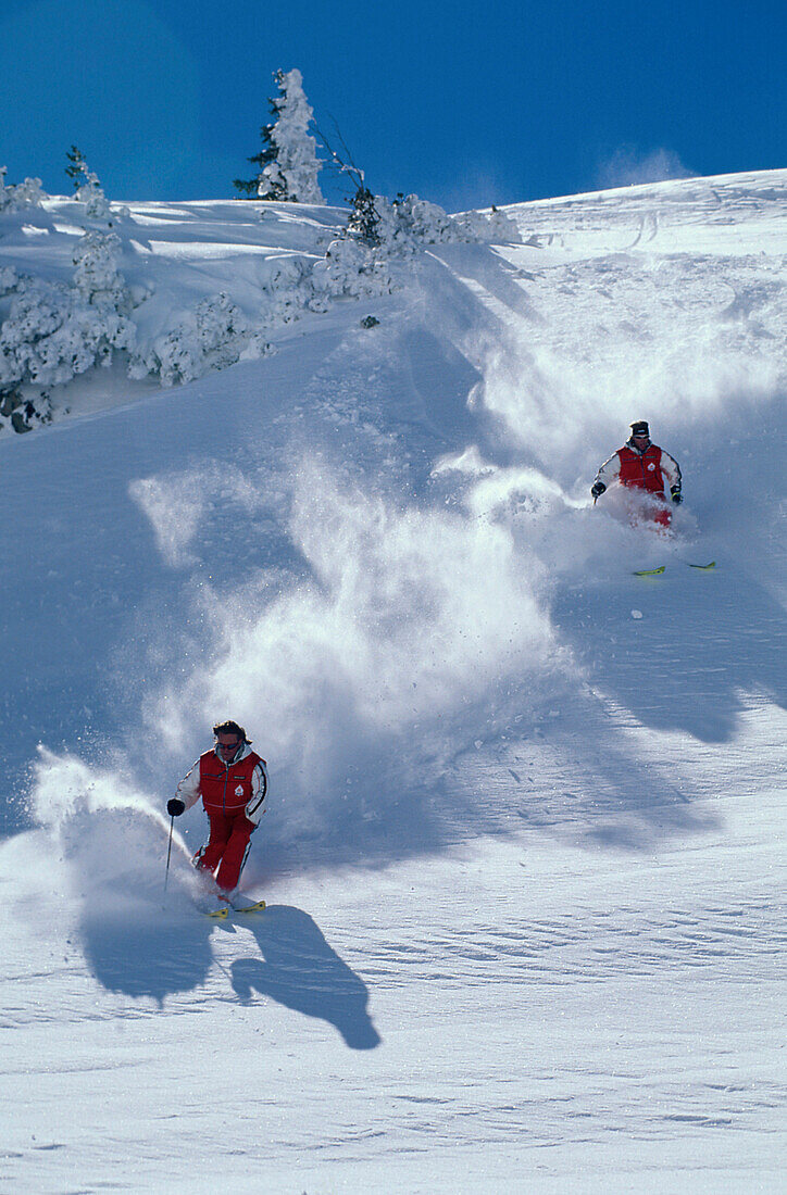 Skifahrer im Tiefschnee, Gatzig am Arlberg, St.Cristoph a.A. Tirol, Oesterreich