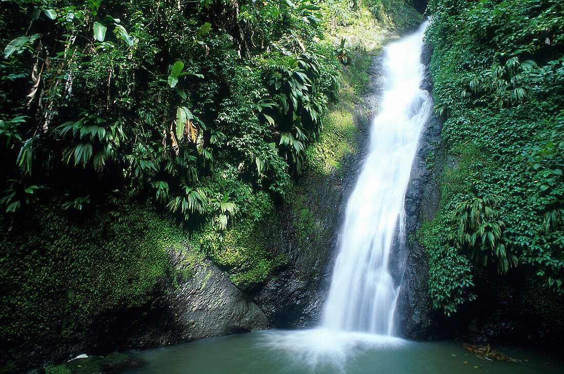 Fontainbleu Wasserfall, Grand Etang Forest Reserve Grenada