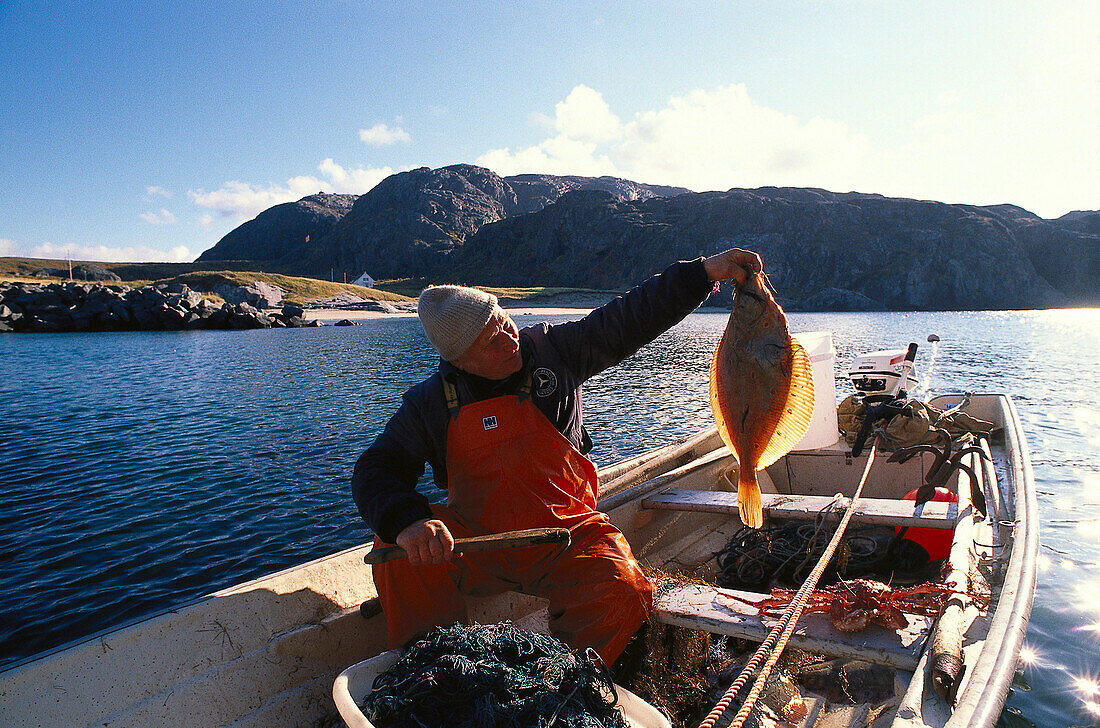 Fisherman with plaice in a boat, Jakobselv, Varangerfjord, Finnmark, Norway, Europe