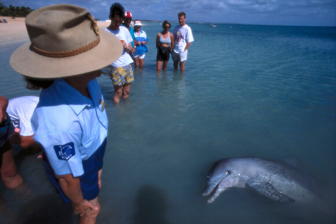 Spiel mit Delfinen, Monkey Mia, Marine Reserve, Beach, Parkranger Western Australia, Australien