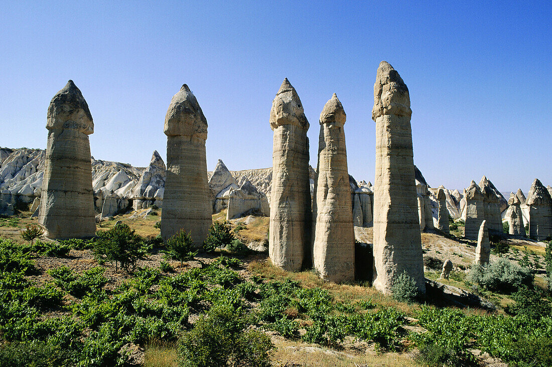 Pinnacles under a blue sky, Cappadocia, Turkey