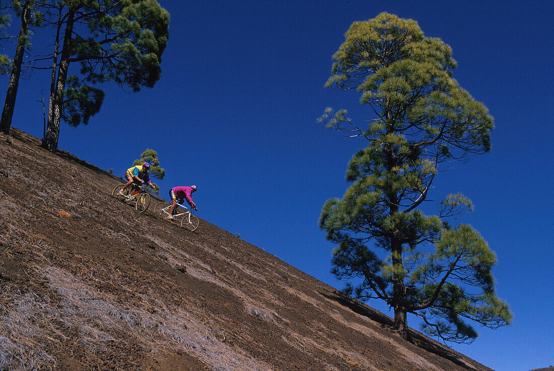 Two people on a mountain bike tour riding downhill, MTB Tour, Teneriffe, Canary Islands, Spain, Fully Released