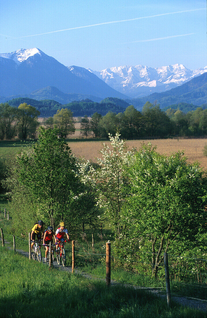 Mountainbike, Fünfseenland, Sommer fully released