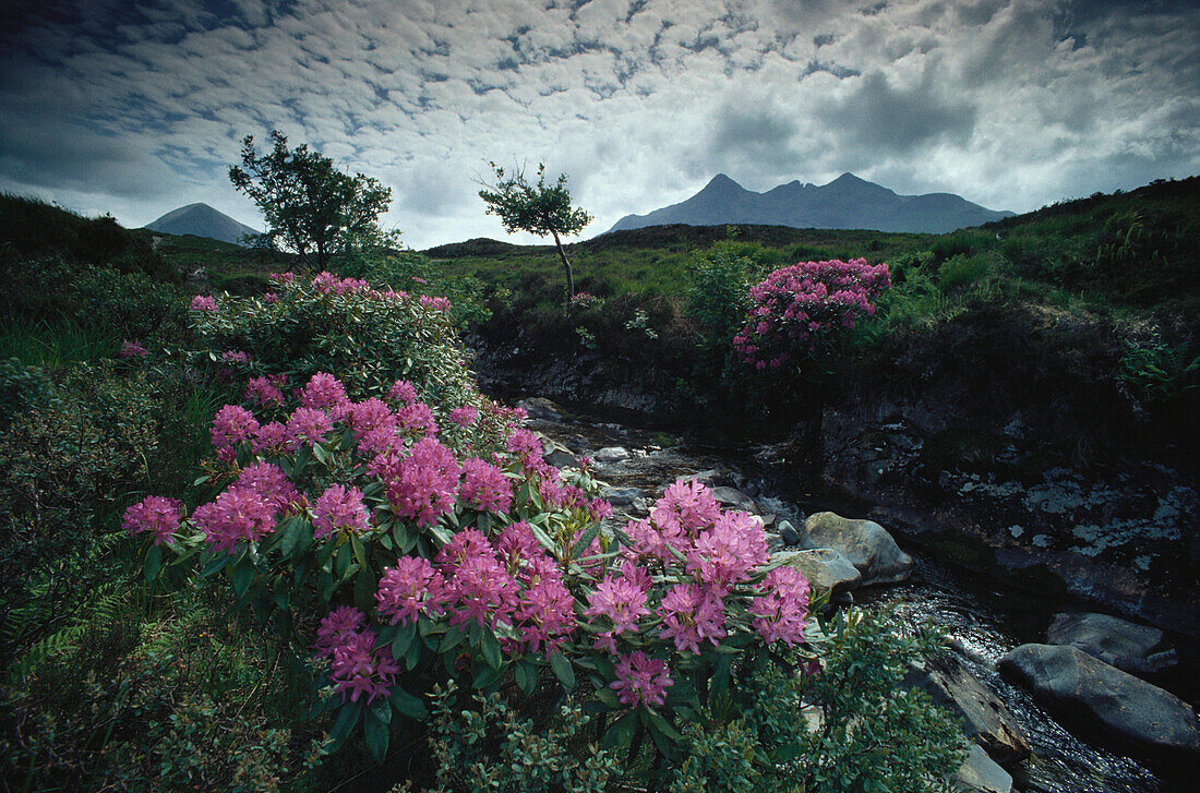 Black Cuillin Hills on the Isle of Skye, Inner Hebrides, Scotland, Great britain