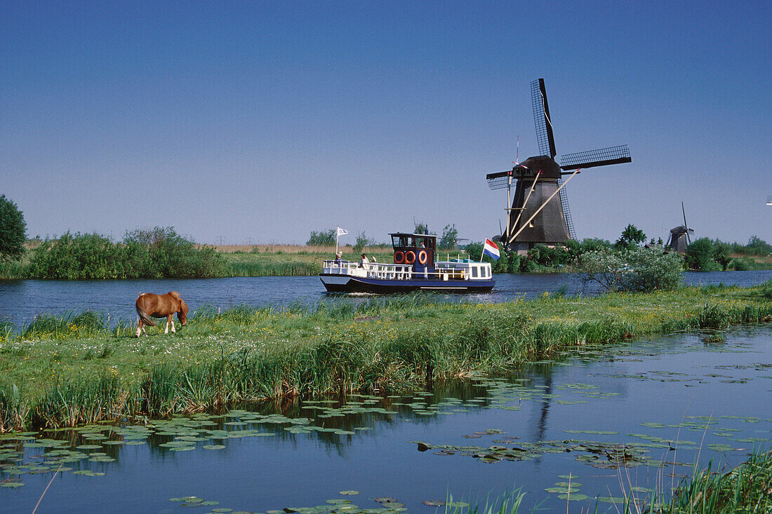 Windmill at a riverbank, Kinderdijk, Netherlands, Europe