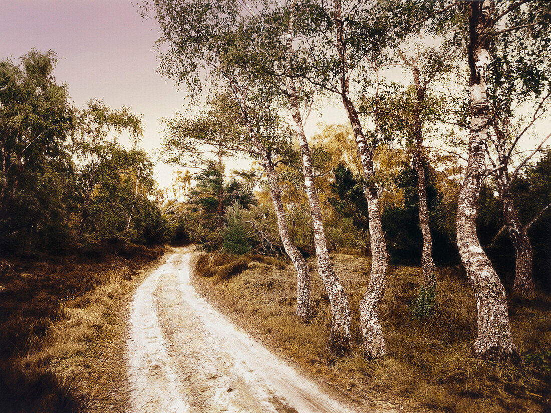 Henning Mankell, Mittsommermord, Naturschutzgebiet Hagestad Skane, Schweden