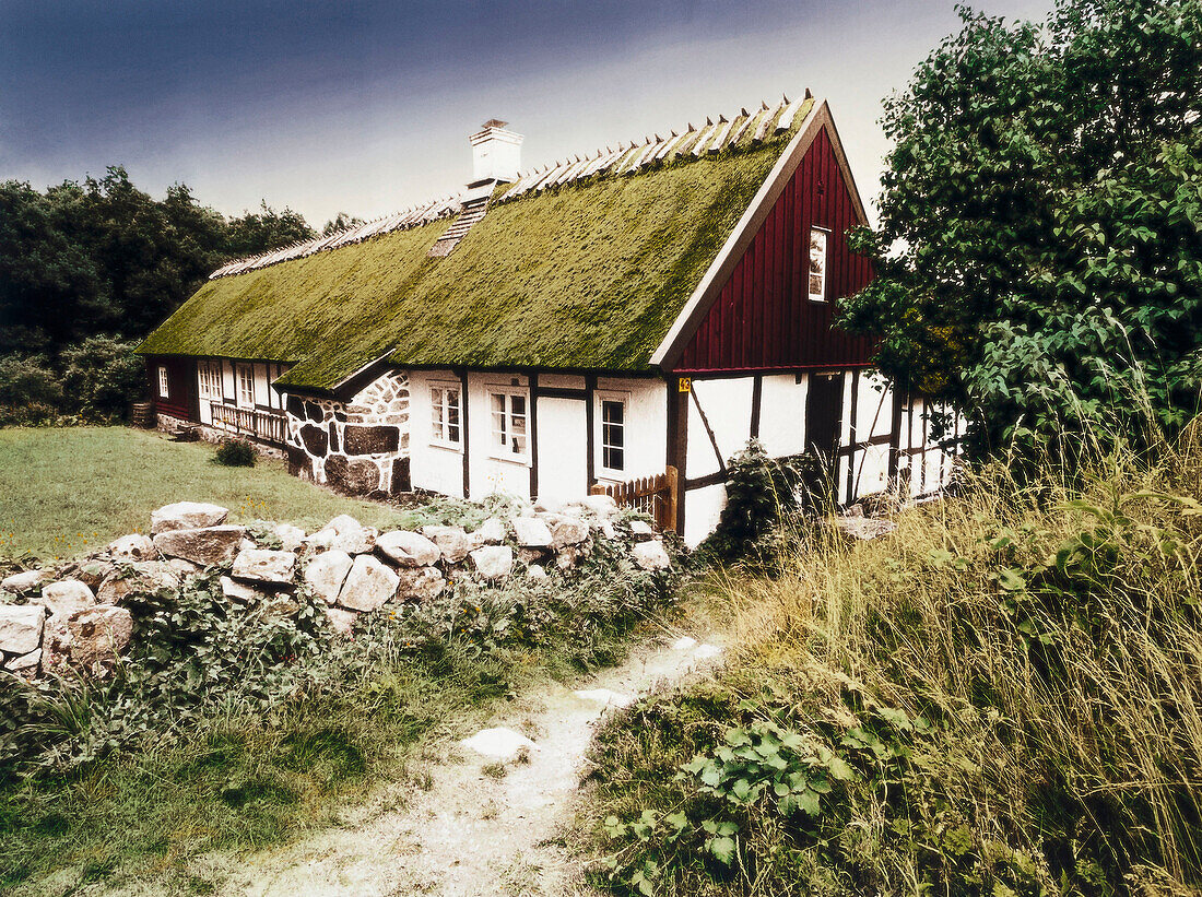 Henning Mankell, The Fifth Woman, Farmhouse on Havang Skane, Sweden