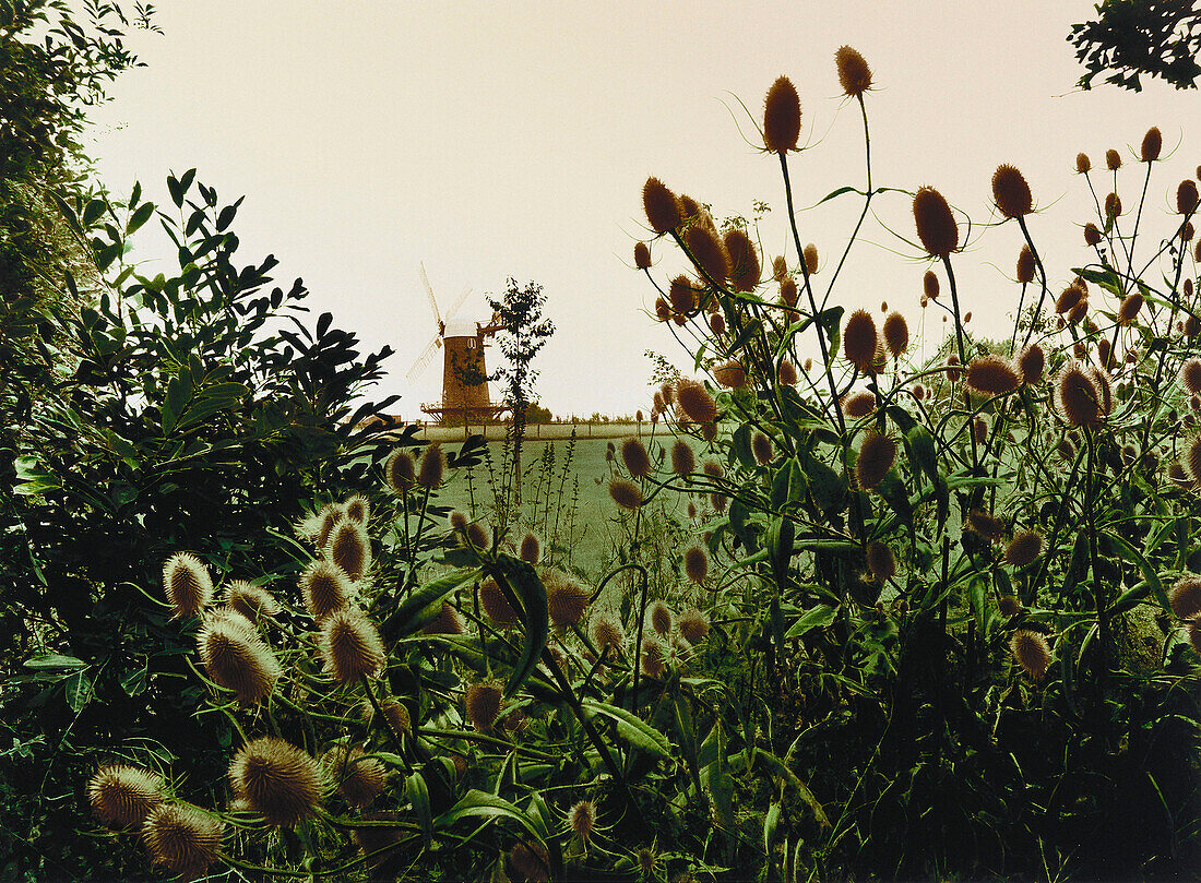 E. George, Im Angesicht des Feindes, Windmühle, Wilton Windmill, Wiltshire, England, Großbritannien