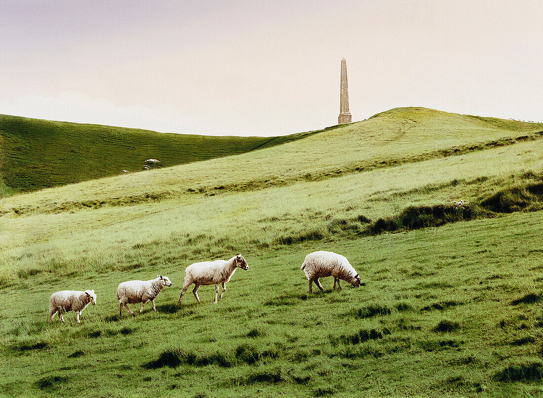 E. George, In the Presence of the Enemy, Lansdowne Monument, Cherhill Down, Wiltshire, England, Great Britain