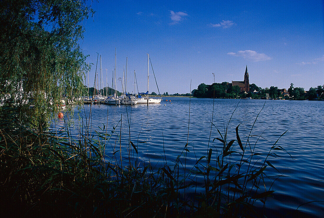 Blick auf den Müritz-Binnensee, Mecklenburgische Seenplatte Meck.-Vorpommern, Deutschland