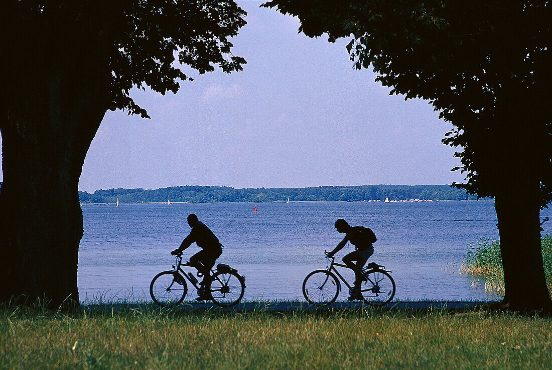 Radfahrer, Mueritz-Binnensee, Waren, Mecklenburgische Seenplatte Meck.-Vorpommern, Deutschland