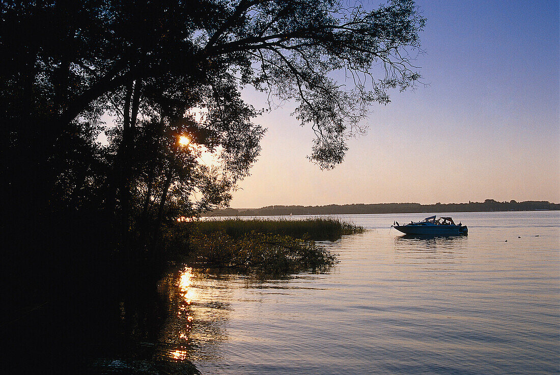 Sunset light, Muritz Lake, Mecklenburg Lake District, Mecklenburg-Western Pomerania, Germany