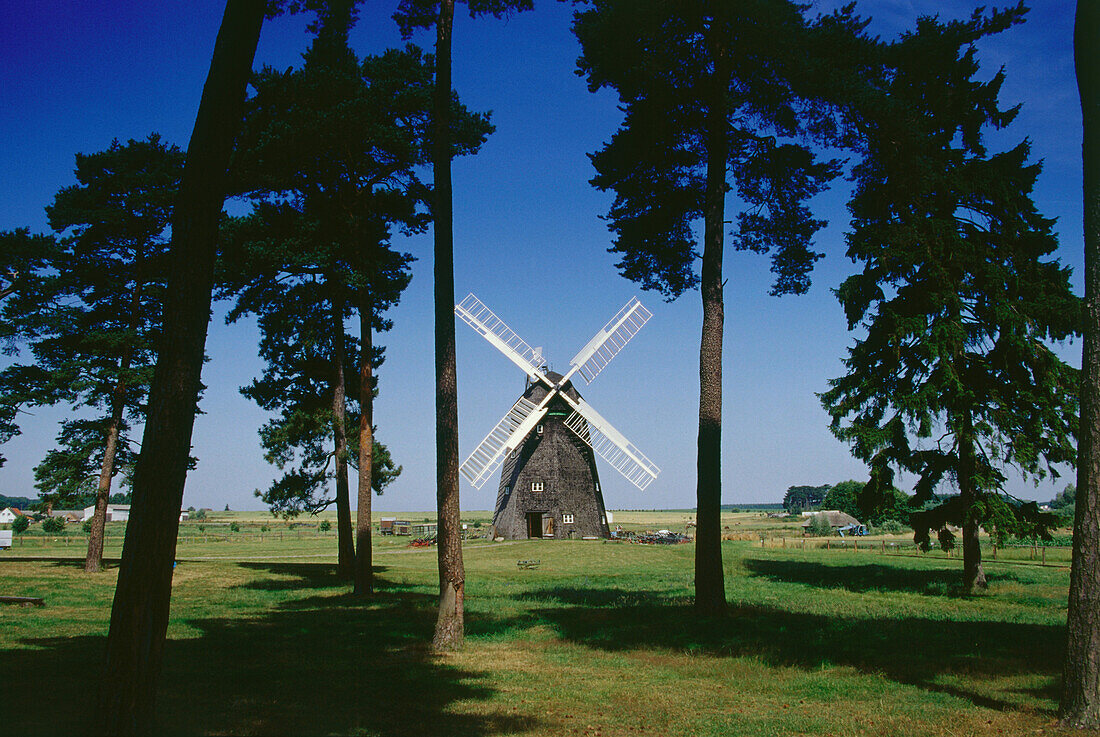 Windmill in Museum of agriculture, Alt-Schwerin, Mecklenburgian Lake District, Mecklenburg-Western Pomerania, Germany