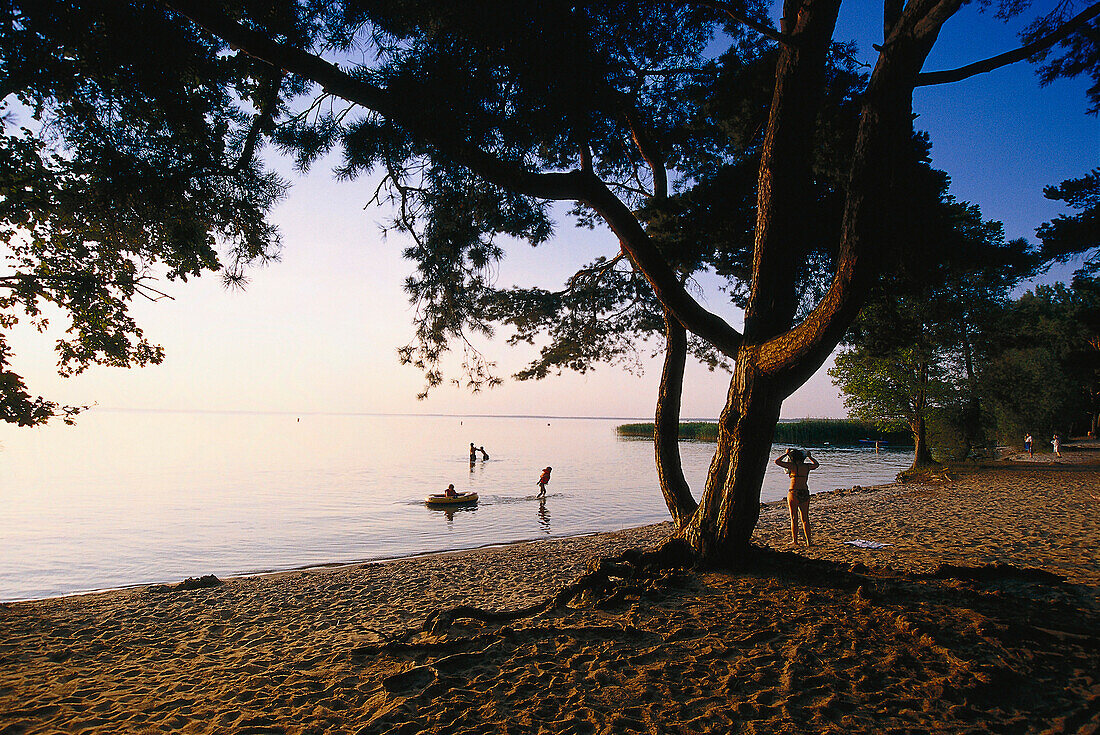 Abendstimmung, Müritz-Strand, Mecklenburgische Seenplatte Meck.- Vorpommern, Deutschland