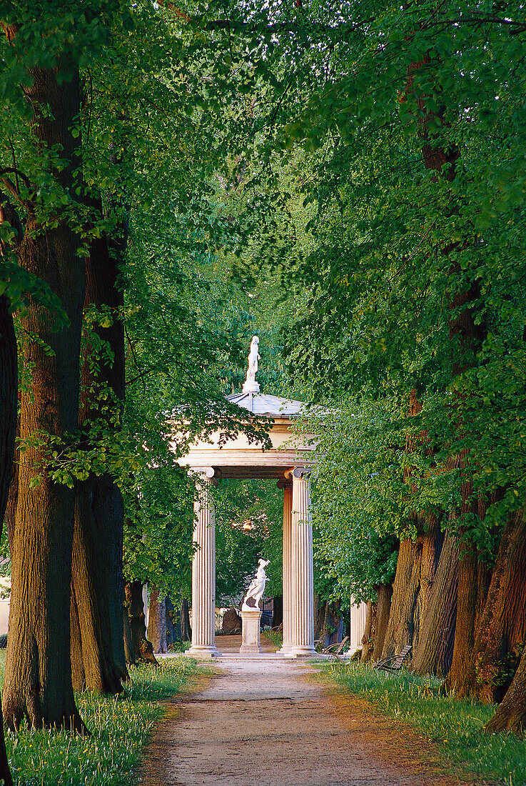 Lindenallee zum Hebe-Tempel, Mecklenburgische Seenplatte Meck.- Vorpommern, Deutschland