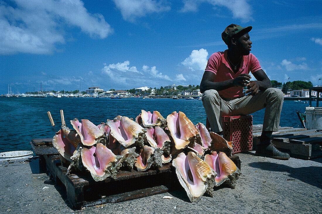 Shell vendor, Habour, Naussau Bahamas