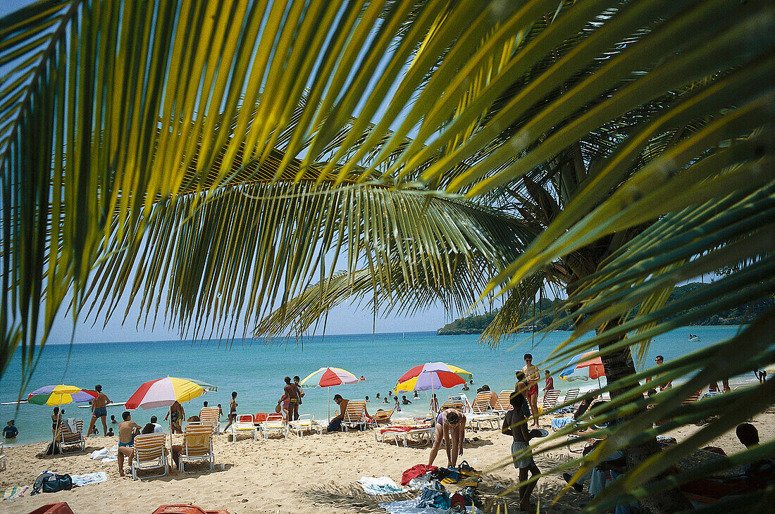 Palmenstrand mit Meerblick, Strandleben, Sosúa, Dominikanische Republik, Karibik