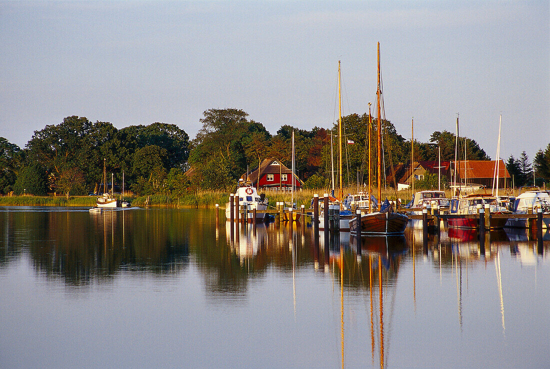 View of Prerow Harbour and reflection, Fischland-Darss-Zingst, Mecklenburg- Vorpommern, Germany