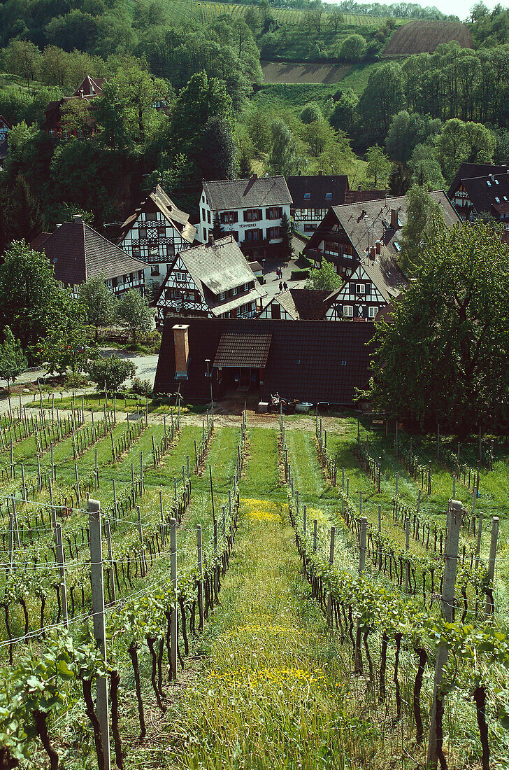 Sasbachwalden, Nord Schwarzwald, Baden-Württemberg Germany