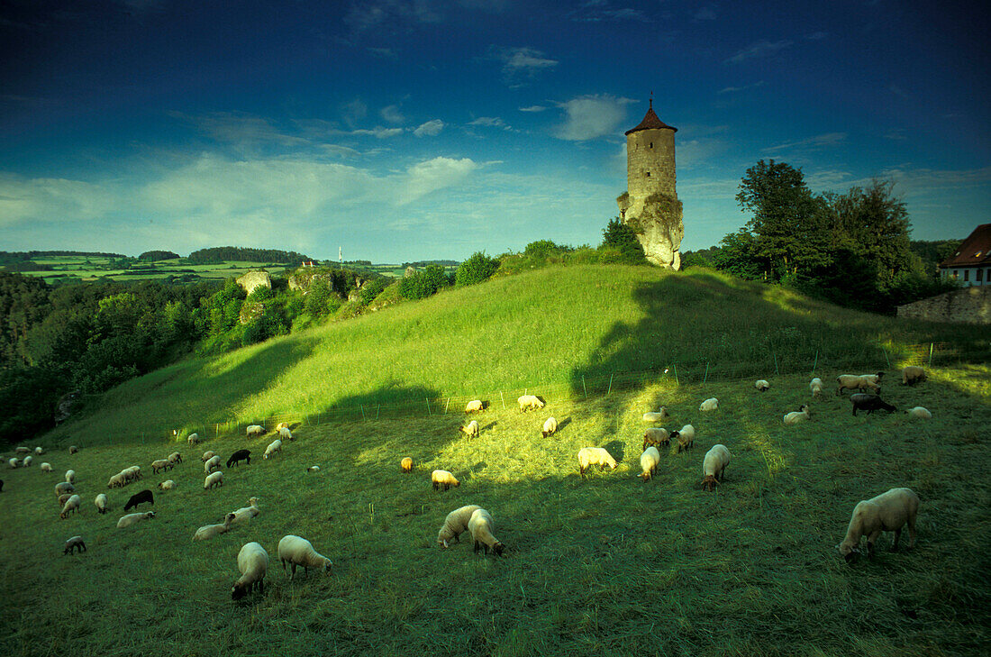 Wehrturm Steinerner Beutel in Waischenfeld, Fränkische Schweiz, Franken, Bayern, Deutschland