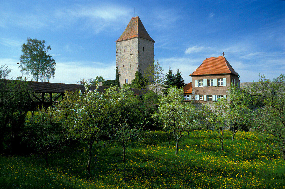 White Tower, City walls of Dinkelsbuehl, Franconia, Bavaria, Germany