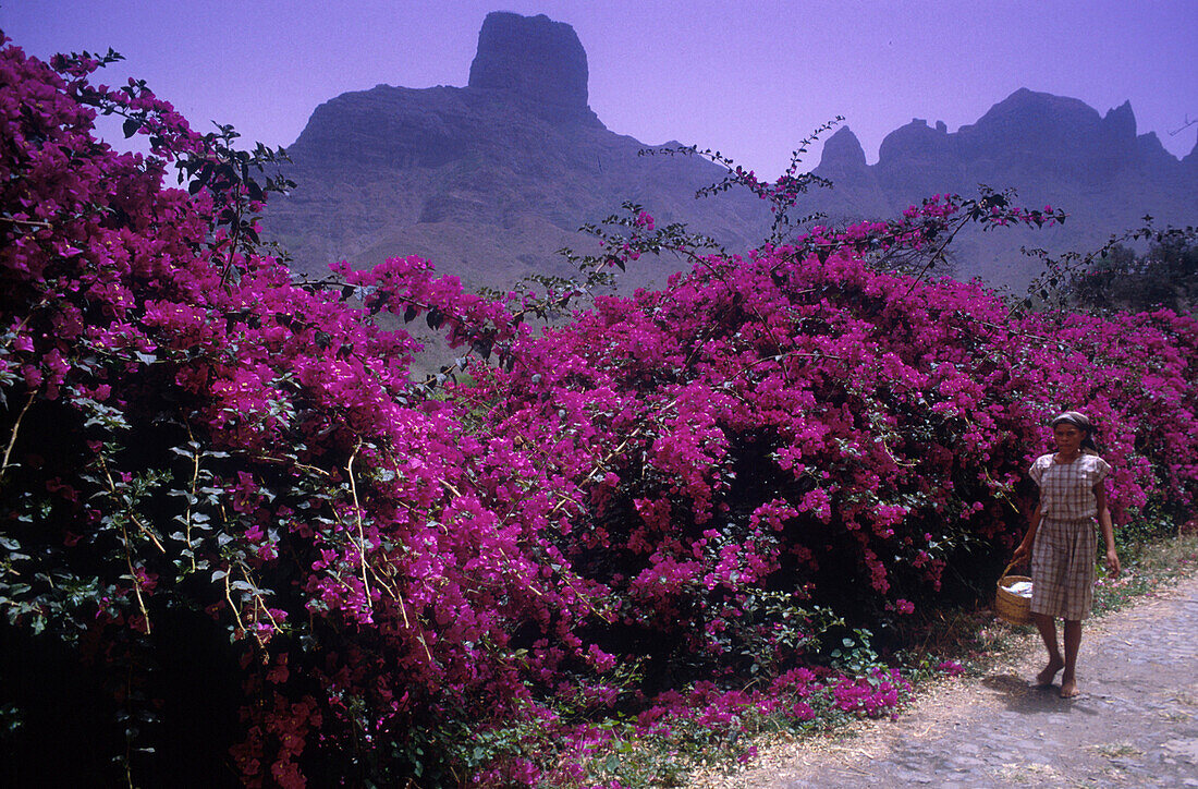 Berglandschaft bei Sao Jorghe, Santiago Kapverdische Inseln