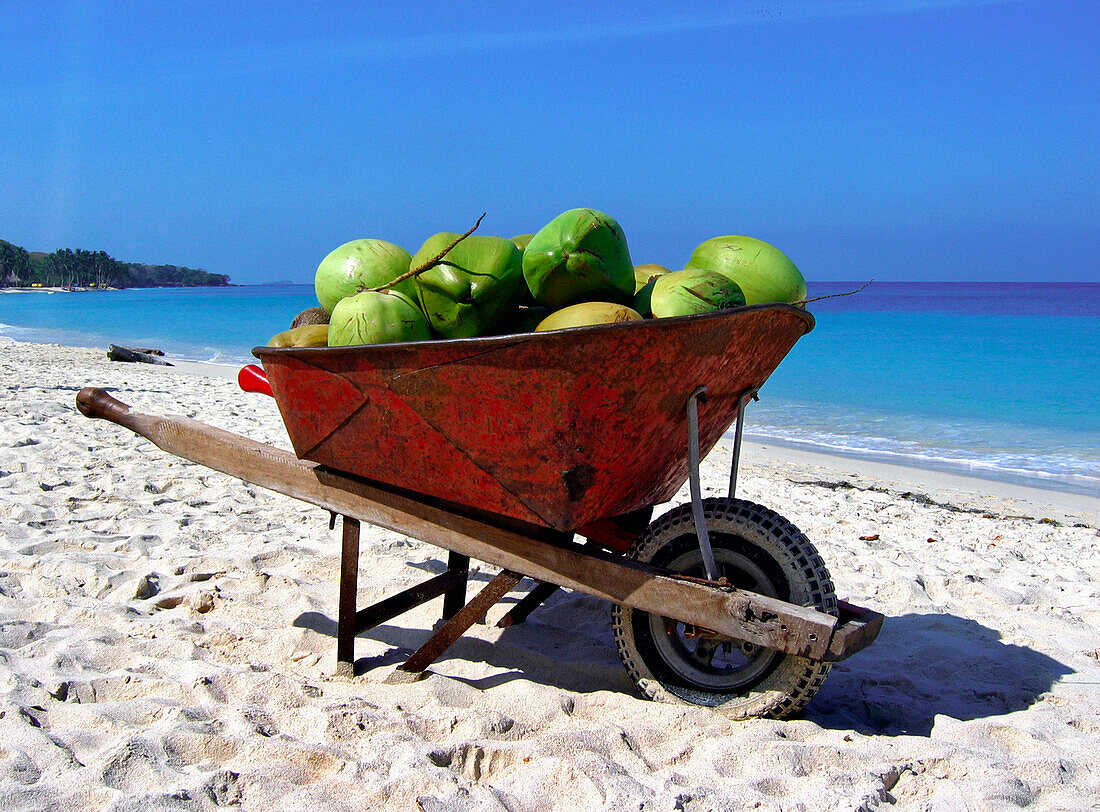 Kokosnüsse in einer Schubkarre am Strand, Carribbean Beach, Cartagena, Kolumbien, Südamerika