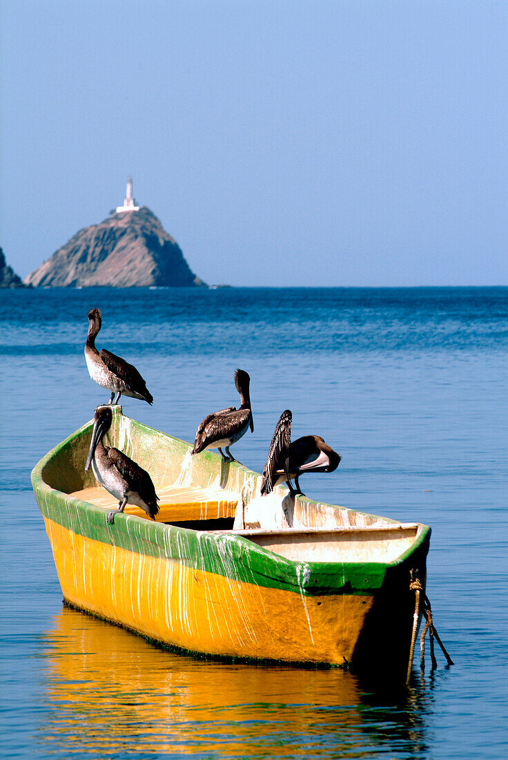 Pelicans in a boat in front of mountains, Taganga, Santa Marta, Colombia, South America
