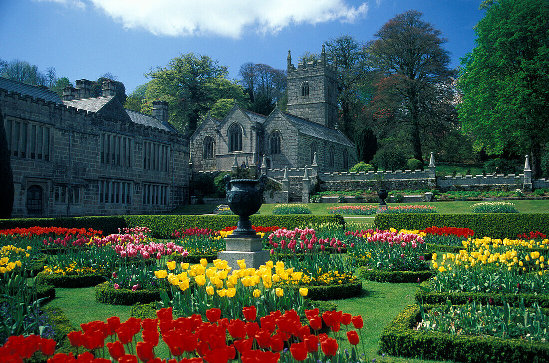 Flowers in the garden in front of Lanhydrock House, Cornwall, England, Great Britain, Europe