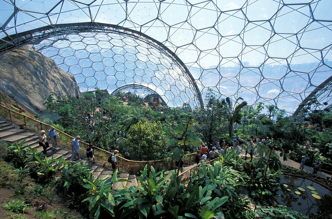 The Eden Project, interior view of a dome-shaped greenhouse, Cornwall, England, Great Britain, Europe