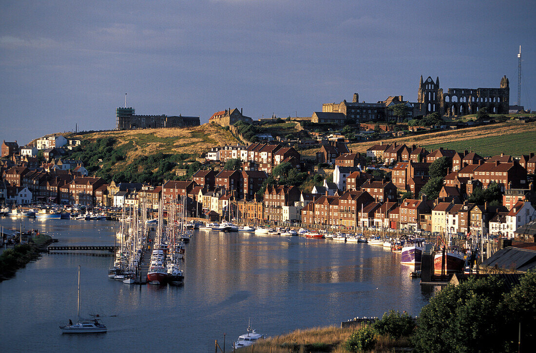 Houses of seaport Whitby in the sunlight, Yorkshire, England, Great Britain, Europe