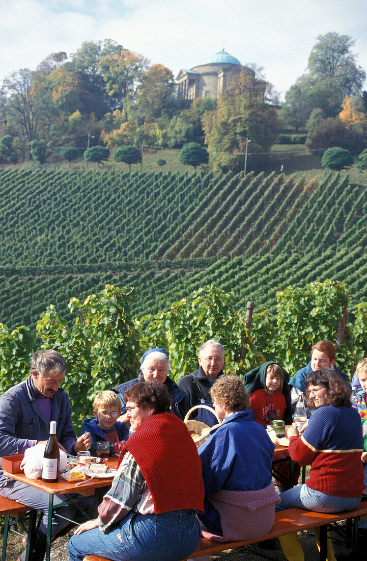 Weinlese, Rotenberg Baden- Württemberg, Deutschland