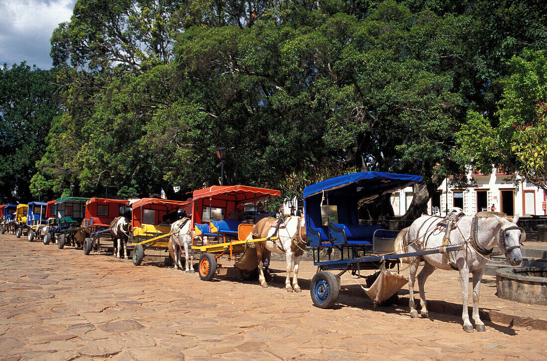 Horse drawn Carriage, Tiradentes Minas Gerais, Brazil