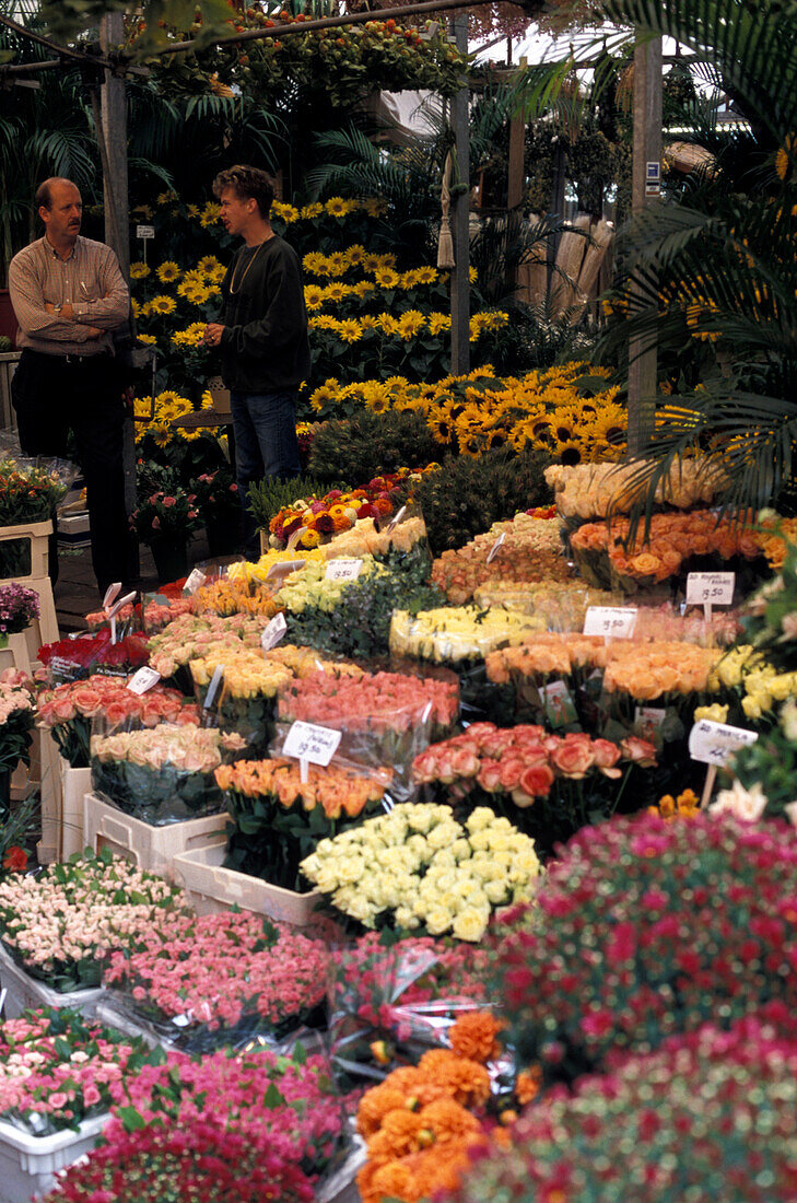 Flowers, Market, Amsterdam Netherlands