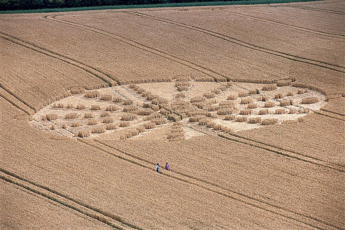 Kornkreis bei Alton Barnes, Wiltshire, England