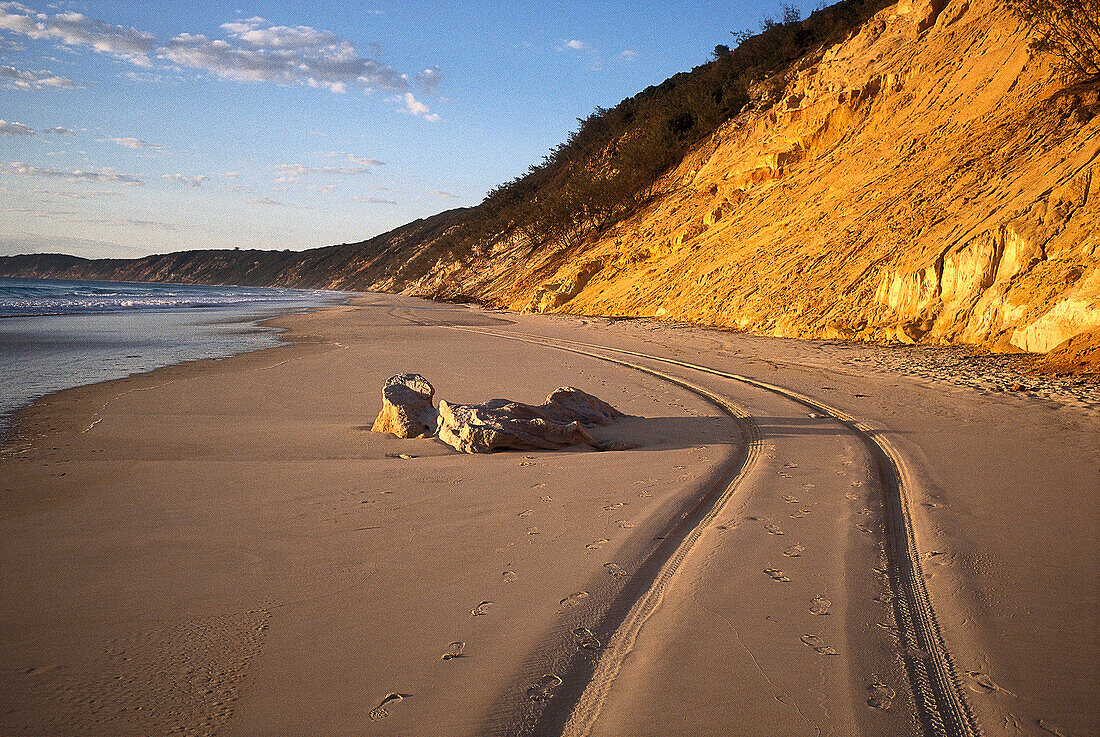 Beach Tracks, Rainbow Beach Queensland, Australia