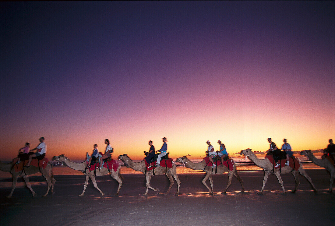 Cable Beach Sunset Camel Ride, Broome WA, Australia