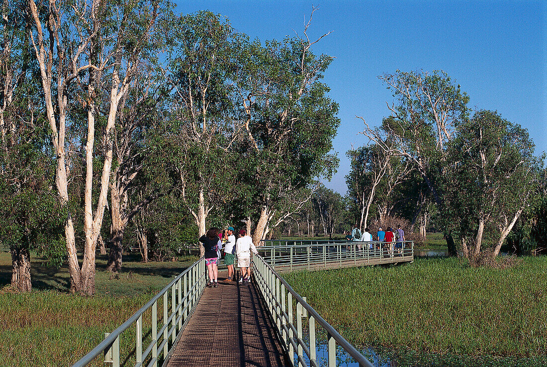People on a Boardwalk, Yellow, Water Wetlands, Kakadu NP NT, Australia