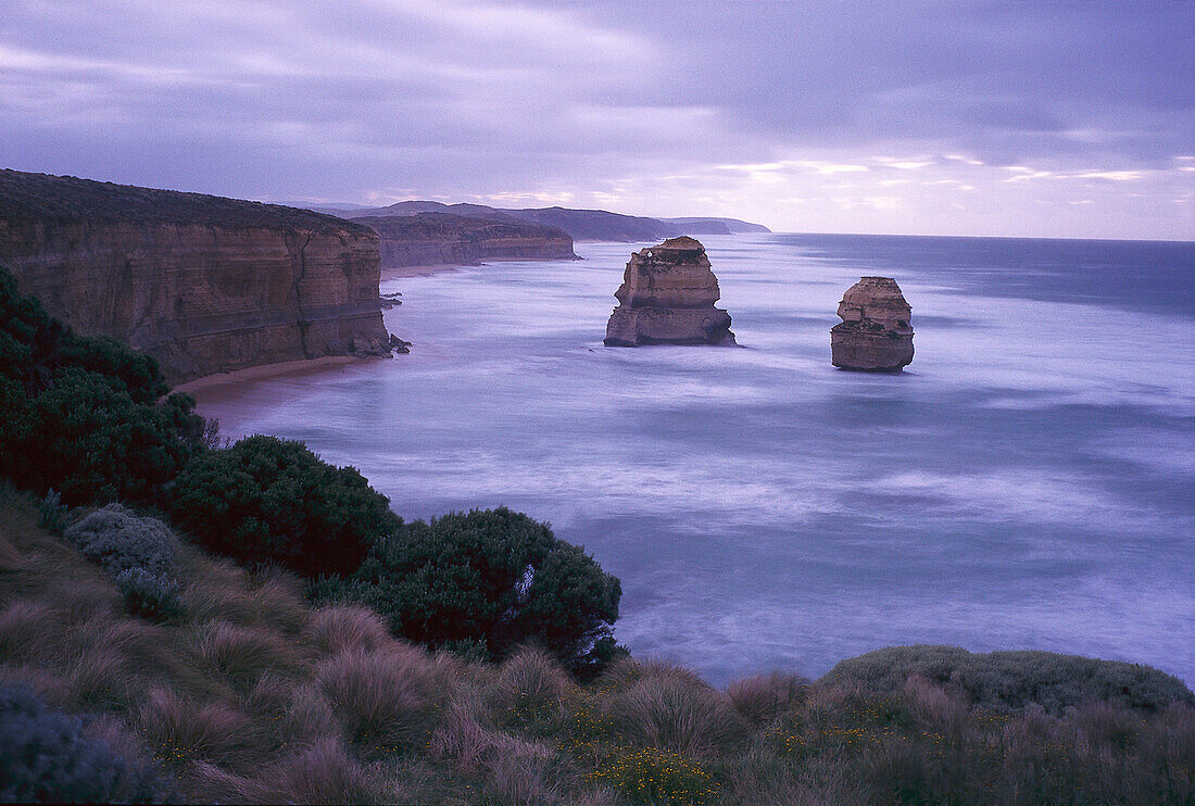 Cliffs at dawn, Great Ocean Road, Port Campbell NP Victoria, Australia