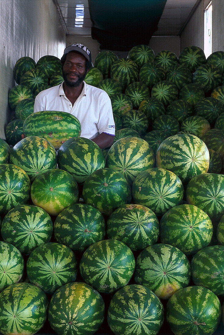Watermelons, Farmers Market, Dallas , Texas USA