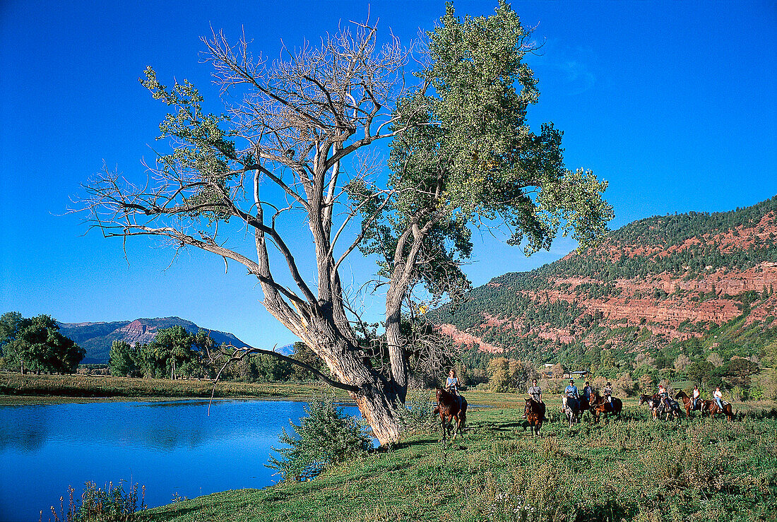 Horseback Riding, Red Mountain Ranch, near Durango, Colorado, USA