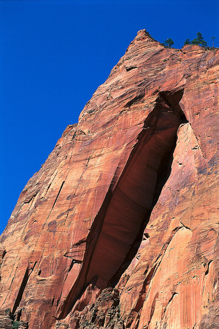 Rock Climbers, Zion National Park, Utah, USA