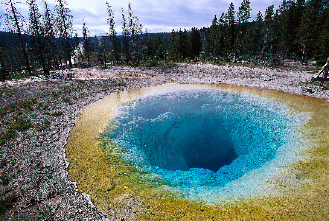 Morning Glory Pool, Upper Geyser Basin, Yellowstone NP , Wyoming, USA