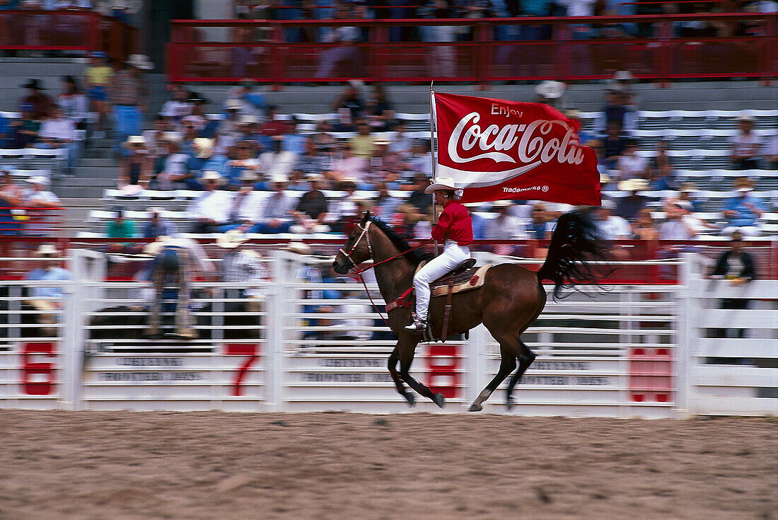 Cowboy, Rodeo, Coca-Cola Sponsor Flag, Cheyenne Frontier Days Rodeo , Wyoming, USA