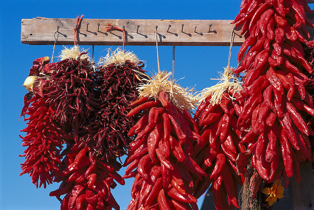 Chilli Stand, Hatch Chilli Festival, New Mexico, USA