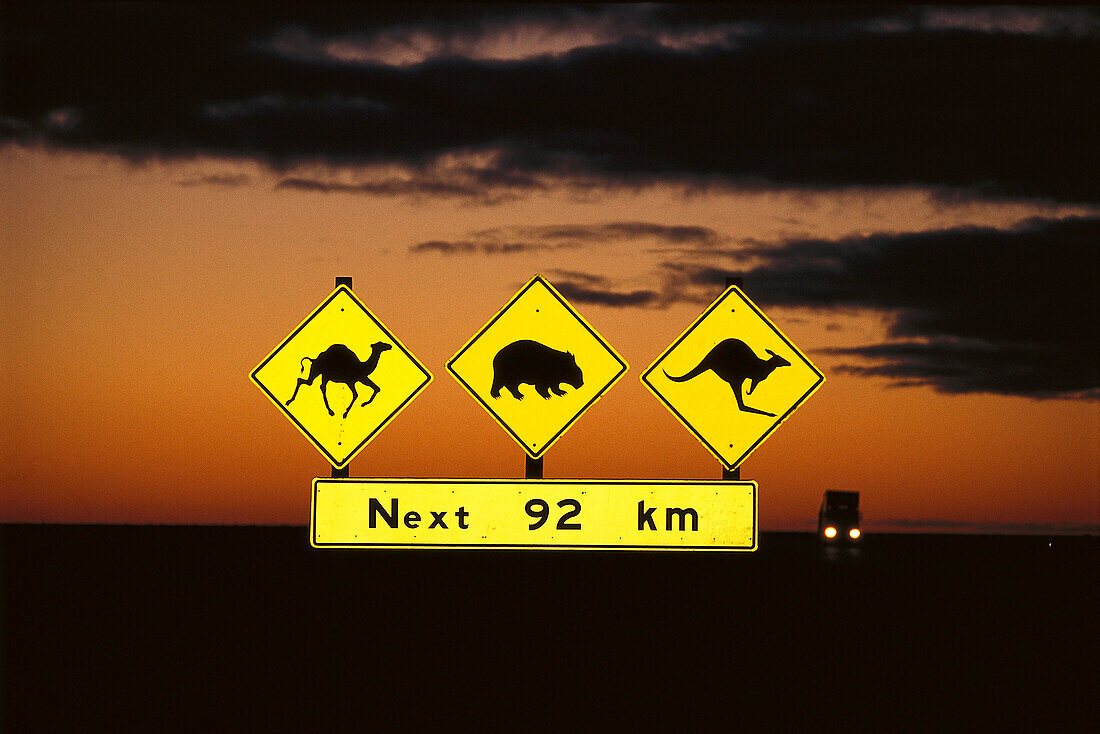 Road Signs at Sunrise, Eyre Highway SA, Australia